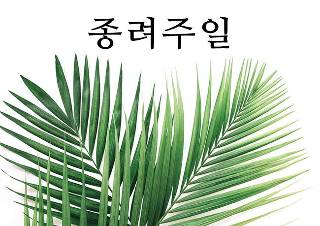 종려주일 예수